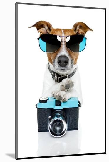 Dog Camera-Javier Brosch-Mounted Photographic Print