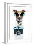 Dog Camera-Javier Brosch-Framed Photographic Print