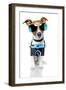 Dog Camera-Javier Brosch-Framed Photographic Print