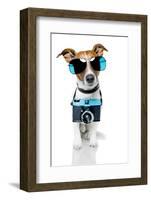 Dog Camera-Javier Brosch-Framed Photographic Print