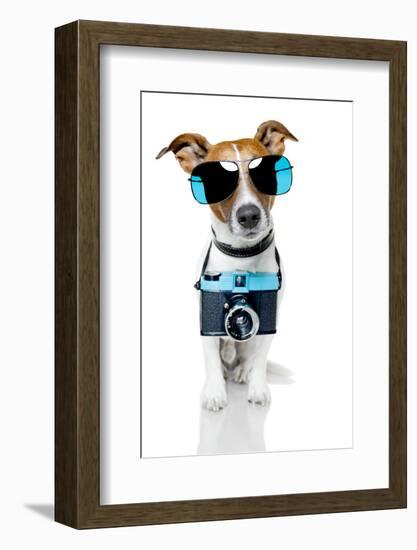 Dog Camera-Javier Brosch-Framed Photographic Print