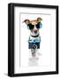 Dog Camera-Javier Brosch-Framed Photographic Print