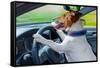 Dog Car Steering Wheel-Javier Brosch-Framed Stretched Canvas