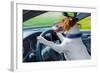 Dog Car Steering Wheel-Javier Brosch-Framed Photographic Print