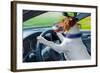 Dog Car Steering Wheel-Javier Brosch-Framed Photographic Print