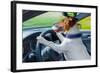 Dog Car Steering Wheel-Javier Brosch-Framed Photographic Print