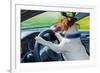 Dog Car Steering Wheel-Javier Brosch-Framed Photographic Print