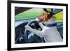 Dog Car Steering Wheel-Javier Brosch-Framed Photographic Print