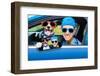Dog Car Window-Javier Brosch-Framed Photographic Print
