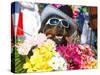 Dog Carrying Flowers at the Carnival in Funchal, Madeira, Portugal, Europe-Michael Runkel-Stretched Canvas