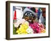 Dog Carrying Flowers at the Carnival in Funchal, Madeira, Portugal, Europe-Michael Runkel-Framed Photographic Print