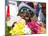 Dog Carrying Flowers at the Carnival in Funchal, Madeira, Portugal, Europe-Michael Runkel-Mounted Photographic Print