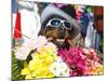 Dog Carrying Flowers at the Carnival in Funchal, Madeira, Portugal, Europe-Michael Runkel-Mounted Photographic Print