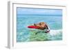 Dog Catching a Red Flying Disc and Swimming in Water-Javier Brosch-Framed Photographic Print