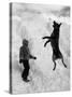 Dog Catching a Snowball-Karl Weatherly-Stretched Canvas