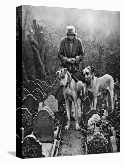 Dog Cemetery, Victoria Gate, Bayswater, London, 1926-1927-null-Stretched Canvas