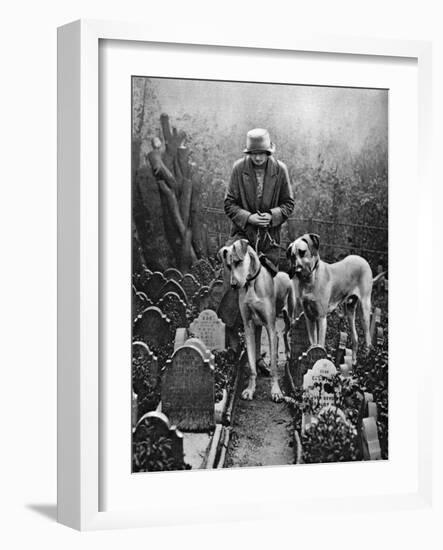 Dog Cemetery, Victoria Gate, Bayswater, London, 1926-1927-null-Framed Giclee Print