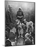 Dog Cemetery, Victoria Gate, Bayswater, London, 1926-1927-null-Mounted Giclee Print