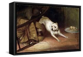 Dog Chasing a Rat, 19th or Early 20th Century-Briton Riviere-Framed Stretched Canvas