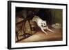 Dog Chasing a Rat, 19th or Early 20th Century-Briton Riviere-Framed Giclee Print