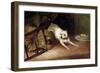 Dog Chasing a Rat, 19th or Early 20th Century-Briton Riviere-Framed Premium Giclee Print