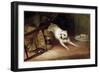 Dog Chasing a Rat, 19th or Early 20th Century-Briton Riviere-Framed Premium Giclee Print