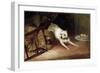 Dog Chasing a Rat, 19th or Early 20th Century-Briton Riviere-Framed Premium Giclee Print