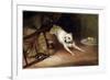 Dog Chasing a Rat, 19th or Early 20th Century-Briton Riviere-Framed Giclee Print