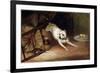 Dog Chasing a Rat, 19th or Early 20th Century-Briton Riviere-Framed Giclee Print