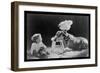 Dog, Child , and Chicken, What Are They Thinking?-null-Framed Premium Giclee Print