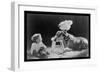 Dog, Child , and Chicken, What Are They Thinking?-null-Framed Premium Giclee Print