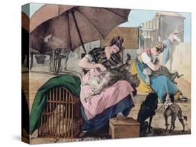 Dog Clippers on the Pont-Neuf, 1820 (Colour Litho)-John James Chalon-Stretched Canvas