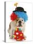 Dog Clown-Willee Cole-Stretched Canvas