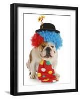 Dog Clown-Willee Cole-Framed Photographic Print