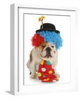 Dog Clown-Willee Cole-Framed Photographic Print