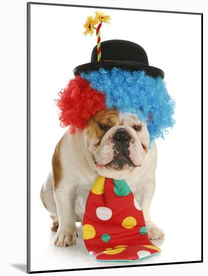 Dog Clown-Willee Cole-Mounted Photographic Print