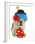 Dog Clown-Willee Cole-Framed Photographic Print