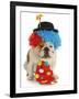 Dog Clown-Willee Cole-Framed Photographic Print