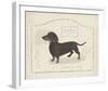 Dog Club - Dachshund-Clara Wells-Framed Giclee Print