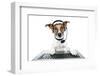 Dog Computer Pc Tablet-Javier Brosch-Framed Photographic Print