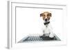 Dog Computer-Javier Brosch-Framed Photographic Print