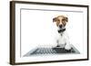 Dog Computer-Javier Brosch-Framed Photographic Print