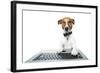 Dog Computer-Javier Brosch-Framed Photographic Print