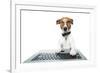 Dog Computer-Javier Brosch-Framed Photographic Print