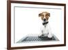 Dog Computer-Javier Brosch-Framed Photographic Print