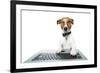 Dog Computer-Javier Brosch-Framed Photographic Print