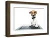 Dog Computer-Javier Brosch-Framed Photographic Print