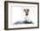 Dog Computer-Javier Brosch-Framed Photographic Print