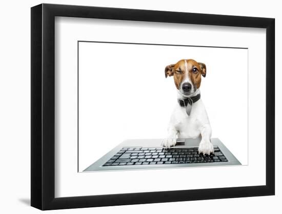 Dog Computer-Javier Brosch-Framed Photographic Print