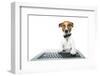 Dog Computer-Javier Brosch-Framed Photographic Print